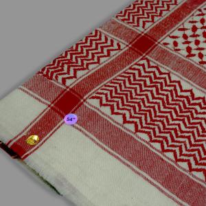 29 شاالت امل ترمة